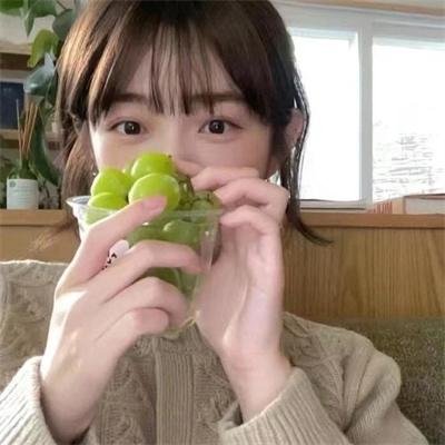 年度鸟事